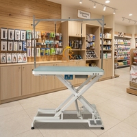 EUR Table de toilettage électrique réglable pour animaux de compagnie Table de toilettage pour grands chiens Table professionnelle portable pour animaux de compagnie