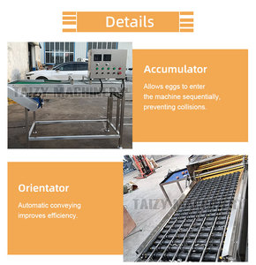 Trứng trọng lượng phân loại SORTER trứng phân loại và candling máy - Product Image 2