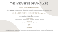 Appareil intelligent d'analyse cutanée IA, Analyseur facial portable, Détecteur de peau, Équipement d'analyse cutanée, Consultation de traitement facial