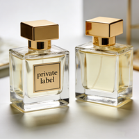 Eau de parfum liquide longue durée aux notes populaires Nouveau design Parfum de luxe unisexe pour hommes et femmes