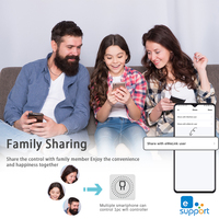 Interrupteur intelligent WiFi EWelink 16A à 2 voies, disjoncteur programmable, compatible Alexa, Google Home, SmartThings, maison intelligente