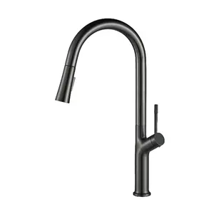 Contemporary Dual Spout Kitchen Sink Faucet Single Handle Brushed Ceramic Mixer Tap Pull Polished Multifunctional Single Tap