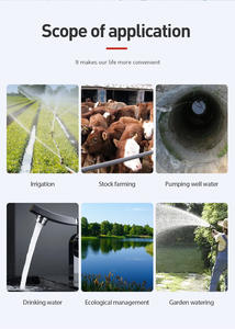 <span class=keywords><strong>Pompe</strong></span> à eau <span class=keywords><strong>solaire</strong></span> 12V <span class=keywords><strong>Pompe</strong></span> submersible haute pression avec batterie au lithium pour l'irrigation <span class=keywords><strong>D</strong></span>ébit élevé Haute pression - Product Image 6