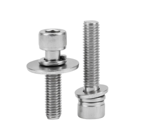 Kit Surtido de Tornillos de Cabeza Cilíndrica y Arandelas de Acero Inoxidable 304 316 - Product Image 1