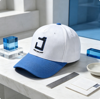 Casquette de baseball bicolore personnalisée avec logo, en coton, réglable, pour sports de plein air, avec broderie