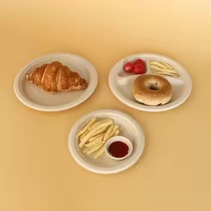 Assiettes durables en bagasse de canne à sucre, écologiques et compostables pour les services de traiteur et les stands alimentaires - Product Image 2
