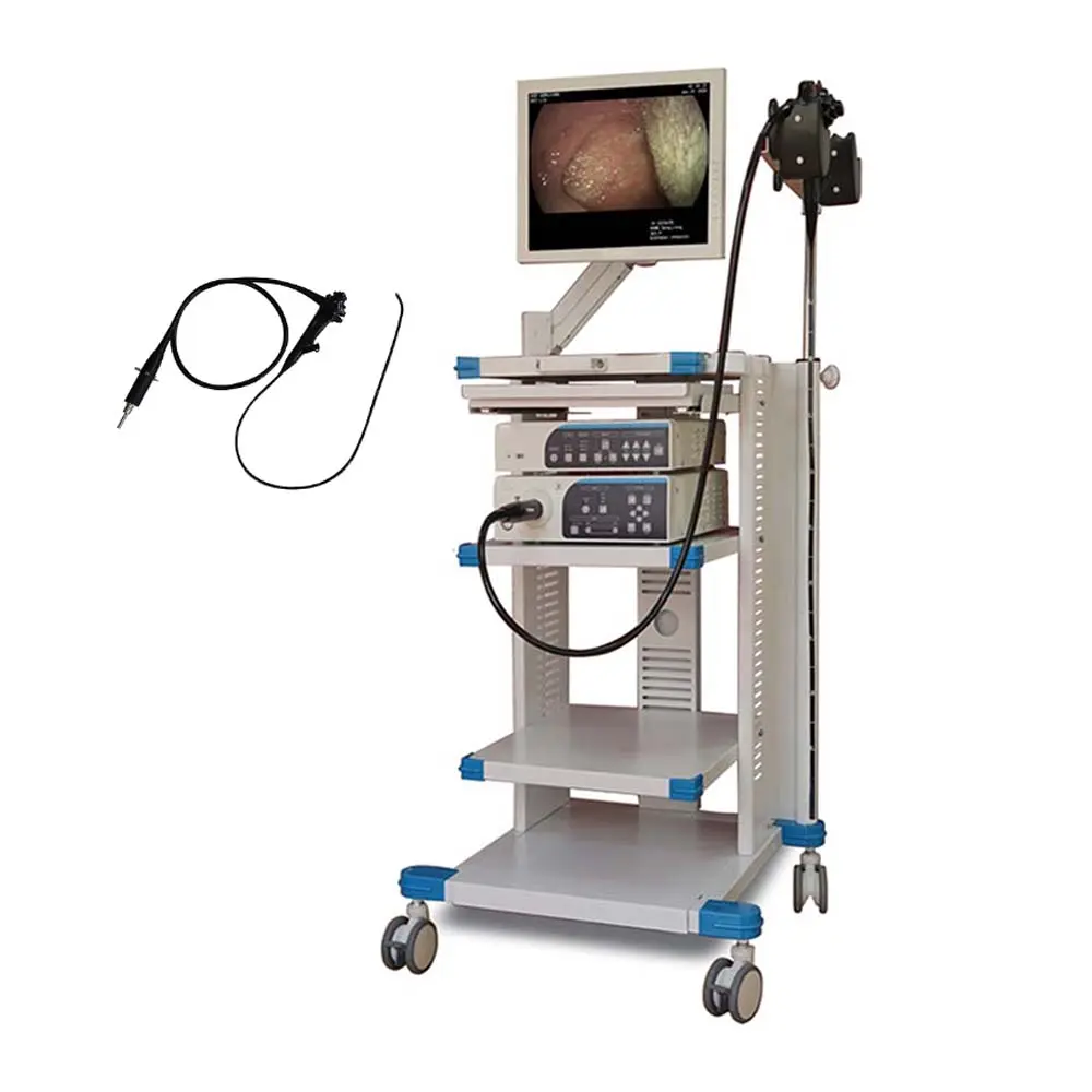도매 가격 내시경 의료 HD 비디오 내시경 내시경 대장 내시경 카메라 시스템