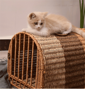 Mochila Transportadora para Gatos, de Plástico Portátil, Tejida a Mano, Material Seguro, Transpirable, Lavable, con Botones, para Gatos de hasta 10 kg - Product Image 3