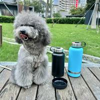 Bouteille d'eau portable pour chien 3-en-1 avec logo, 32 oz, en acier inoxydable à double paroi, isolée sous vide, anti-fuite et résistante aux chutes (12-24 mois)