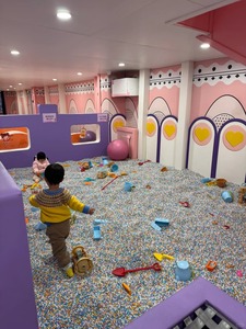 Équipement de terrain de jeu intérieur à thème personnalisé pour enfants Centre de jeu en plastique souple avec piscine à balles - Product Image 6