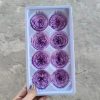 Kepala Bunga Mawar David Austin P-7 yang Diawetkan - Warna Sesuai Pesanan Bentuk Bulat untuk Dekorasi Buket - Hari Valentine & Hari Ayah