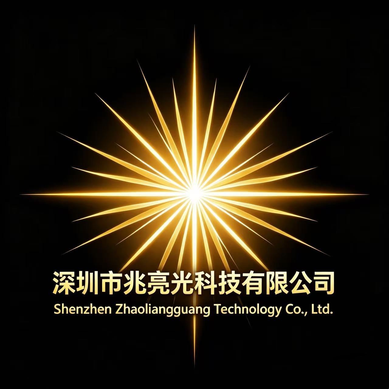 Shenzhen Zhaoliangguang Technology Co., Ltd.