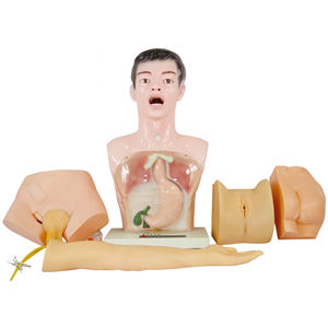 Práctica de medicina básica, operación de pasantía, cuidado anatómico, maniquí de Anatomía Humana, entrenamiento de enfermera, modelo de enseñanza de práctica de enfermería - Product Image 6