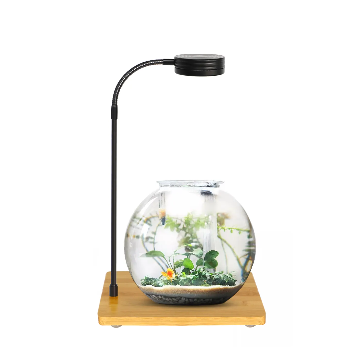 Маленькая бамбуковая лампа для Медузы ce rohs, светодиодная аквариумная лампа полного спектра для аквариума, бонсай