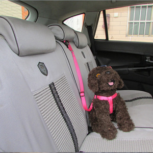 Harnais pour animaux de compagnie cool et mignon en nylon réglable de taille moyenne pour utilisation avec la ceinture de sécurité du siège de voiture - Product Image 3