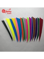 Gros 50pcs aile droite 4 ''bouclier plume de dinde multicolore flèche empennage tir chasse bricolage tir à l'arc flèche arbre