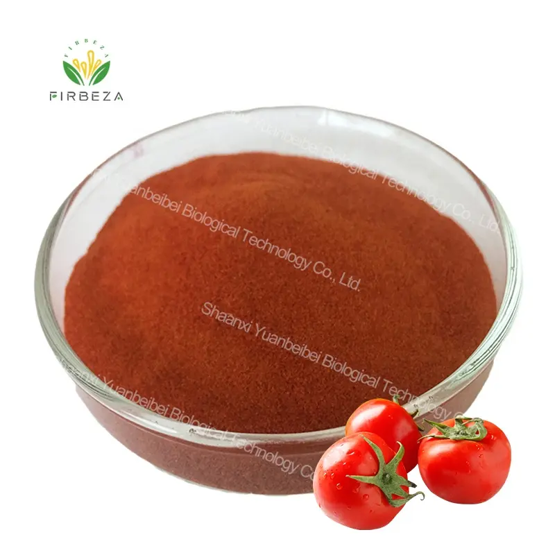 Poudre d'extrait de tomate 100% en vrac, concentré de jus de tomate biologique naturel