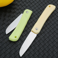 Couteau à fruits pliable en acier de 3 pouces, petit couteau à éplucher les légumes portable