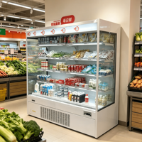 Réfrigérateur portable à onduleur, sans givre, multi-étagères, à brancher, pour la présentation de viande de poulet et autres aliments