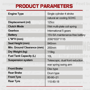 Motocicleta de Gasolina Zonsen XTZ125 Nueva con Carrocería Abierta para Adultos con Certificación CEE, Vehículo Todoterreno de Dos Ruedas para Adultos - Product Image 2