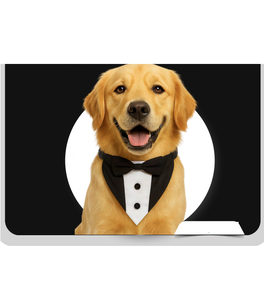 Pañuelo para Perro con Lazo, Pañuelo Decorativo para Mascotas con Lazo para Fiestas, Festivales y Eventos Familiares - Product Image 1