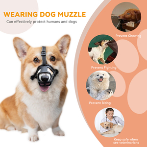 Muselière pour chien PETBUDDY, réglable, respirante, en plastique, avec boucle réfléchissante, pour grandes races, style classique - Product Image 4