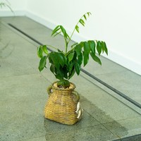Pot de fleurs créatif en résine en forme de panier à poissons, jardinière multifonctionnelle pour plantes succulentes, décoration artisanale pour la maison de style ferme