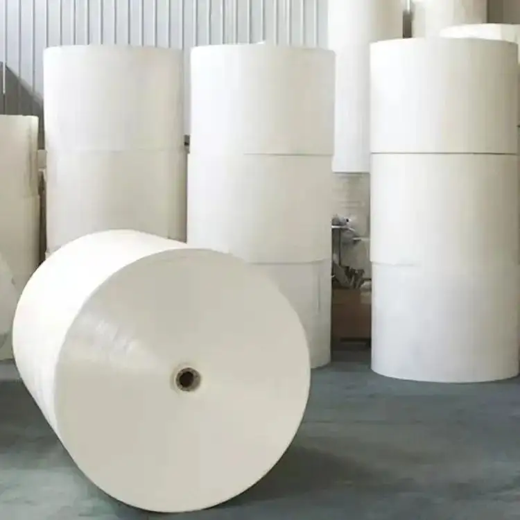 Wholesale High Quality Cup Paper Pe/pla Coated Paper-in Roll