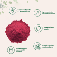 Poudre d'Extrait de Betterave Biologique, Poudre de Racine de Betterave pour la Santé Nutritionnelle, Compléments Cardiaques, Soutien à la Pression Artérielle