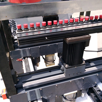 TOHAN Machine à aléser à deux têtes et plusieurs rangées pour la fabrication de trous