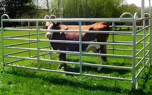 Bulk Top Rated Hot Dipped Galvanized Livestock Horse Yard Metal Fences Panels For Sale