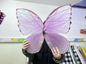 Dron Mariposa LED Recargable con Luces Intermitentes, NUEVO, con Brillo en la Oscuridad, para Decoración de Bodas, Fiestas y Escenarios, Regalo Original para Niños - Product Image 6
