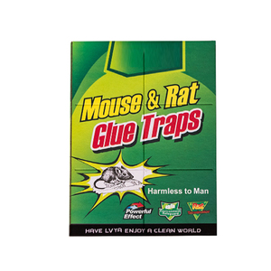 Papier de contrôle de la <span class=keywords><strong>souris</strong></span> jetable du fabricant Panneau de <span class=keywords><strong>colle</strong></span> <span class=keywords><strong>pour</strong></span> <span class=keywords><strong>souris</strong></span> Pièges à ravageurs Hôtel Cuisine Restaurants <span class=keywords><strong>Souris</strong></span> Tableau collant - Product Image 2