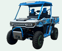 UTV 4*4 lvtong électrique tout-terrain 60V, couleur personnalisée