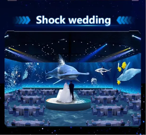 Sıcak interaktif 360 duvar projeksiyon sistemi duvar/zemin projektör 3D sürükleyici projeksiyon tüneli deneyimi - Product Image 5