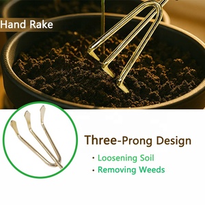 Gold Miniature Eco-friendly Durable Planting <strong>Tools</strong> <strong>Set</strong> Stainless Steel Bonsai <strong>Tools</strong> Kit Wooden Mini <strong>Garden</strong> Hand <strong>Tools</strong> <strong>Set</strong> for - Product Image 3