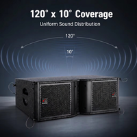 Speaker Line Array NEARSTAR 500W Dua Jalur 8 Ohm Kabinet Kayu Lapis untuk Acara Panggung