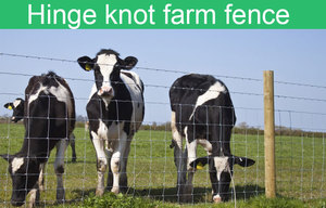 Прямая поставка из Китая, заводское ограждение для фермы, ограждение для домашнего скота, система ограждений для лошадей и коров - Product Image 4