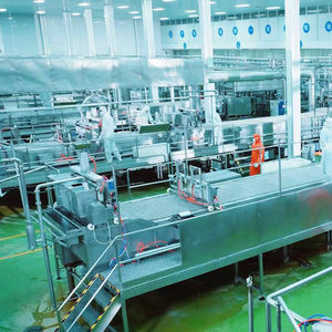 아이스디라이트 제조업체 맞춤형 도매 고품질 3D 과일 아라비아 아이스크림 박스 과일맛 초콜릿 맛 75g 12팩 - Product Image 5