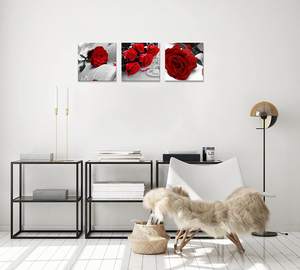 <span class=keywords><strong>Noir</strong></span> <span class=keywords><strong>blanc</strong></span> avec <span class=keywords><strong>rouge</strong></span> Art mural <span class=keywords><strong>rouge</strong></span> Rose décor mural décorations abstraites fleur image sur toile pour la décoration de la maison - Product Image 5