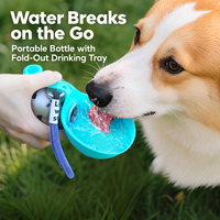 Bouteille d'eau portable 2-en-1 pour chien avec bol en silicone pliable et sangle de poignet