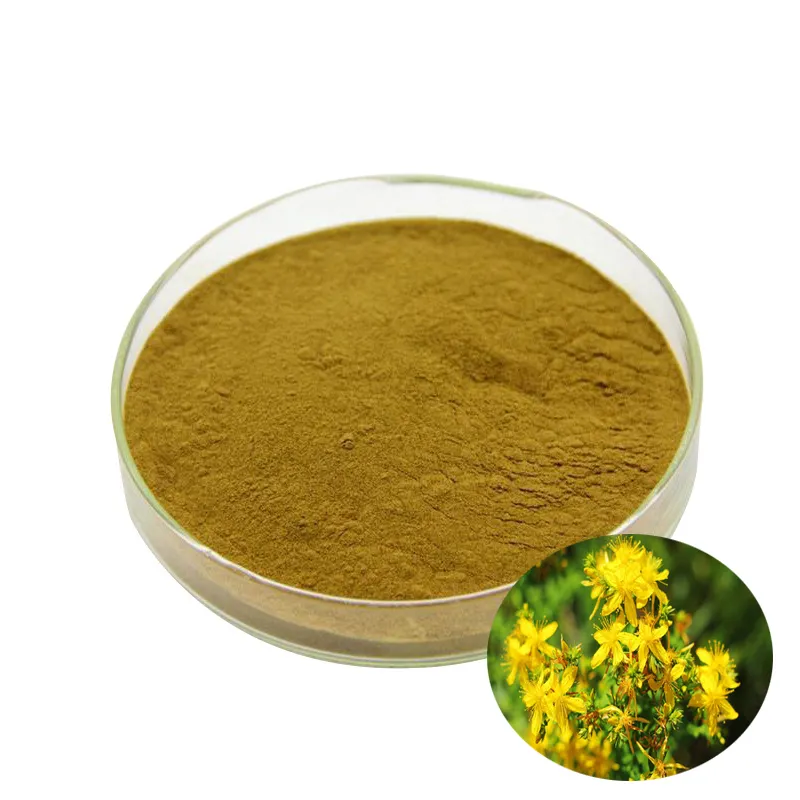 Hypericum Perforatum Extracto Hiperforin 0.3% Hypericin St John s wort Extracto