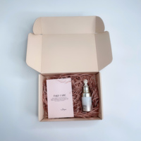 Boîte cadeau pliable de luxe Peach Foldable Airplane, boîte d'expédition en carton ondulé personnalisée avec impression à chaud dorée pour vêtements
