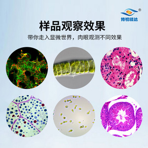 Boshi Jingda Inverted Biological <b>Microscope</b> NIB620 NIB610 Professional Live Cell Observation Phase Contrast Fluorescence - Product Image 4