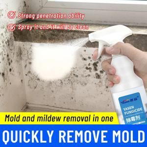 <span class=keywords><strong>Precio</strong></span> de fábrica, removedor de moho y moho para el hogar, limpiador en <span class=keywords><strong>aerosol</strong></span>, Revestimiento acrílico líquido para lavar y limpiar - Product Image 4