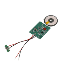 Rise Innovation Module de charge sans fil rapide EPP 5V/9V/12V/24V MPP charge magnétique PCBA OTP/OPV protégé électrique PD pour PC