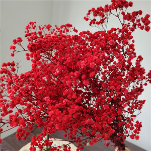 <span class=keywords><strong>Fleur</strong></span> de Gypsophile Stabilisée pour Mariage, 1 Botte de 100-120g, Arrangement Artisanal pour Usage Domestique - Product Image 4