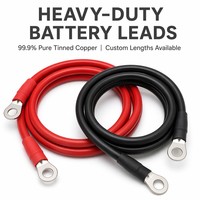 Câble d'interconnexion de batterie pré-coupé et terminé de 35 mm² avec bornes à anneau 600V 1500V pour pack de batteries LiFePO4 48V CE