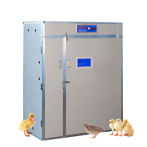5000鸡蛋培养箱/太阳能鸡蛋培养箱/全自动鸡蛋培养箱用于5280pcs - Product Image 6