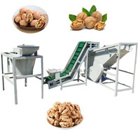 Vente professionnelle Noyer Machine Cracker Amande Petite Amande Décortiqueuse Séparation Machine